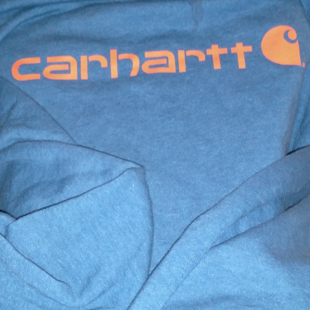 Carhartt force Hoodie